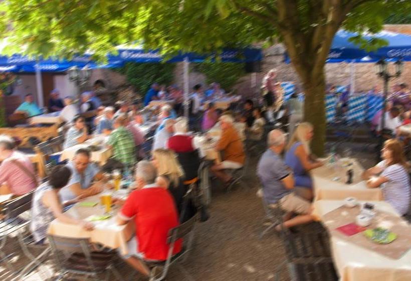 Hotel Landgasthaus Römerhof 18