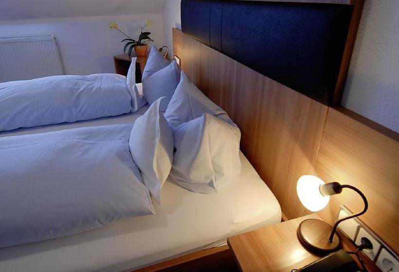 Hotel Landgasthaus Römerhof 4