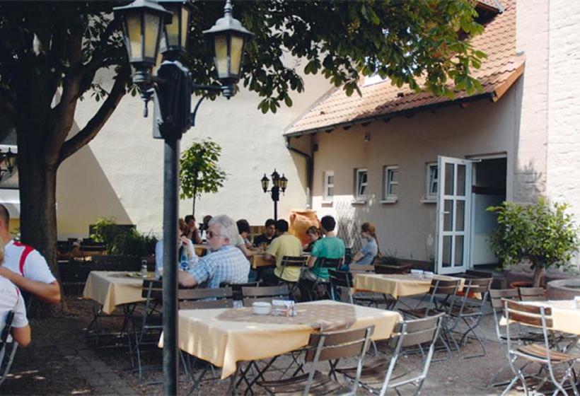 Hotel Landgasthaus Römerhof 9