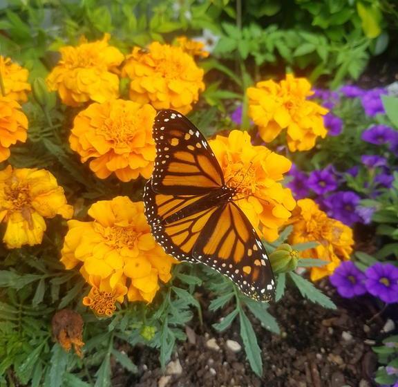 Hostel The Cell Block 9