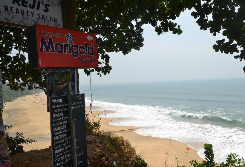 Hotel The Exotic Marigold 3