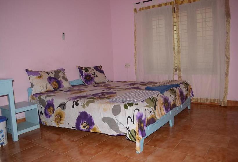 Hotel The Exotic Marigold 5