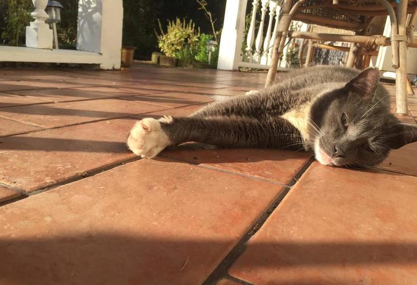 Bed and Breakfast Karamana Homestead 6