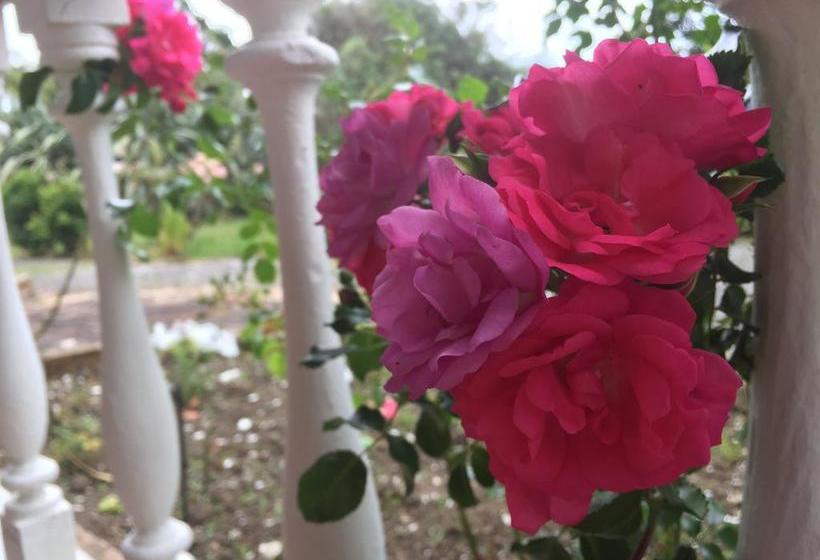 Bed and Breakfast Karamana Homestead 9