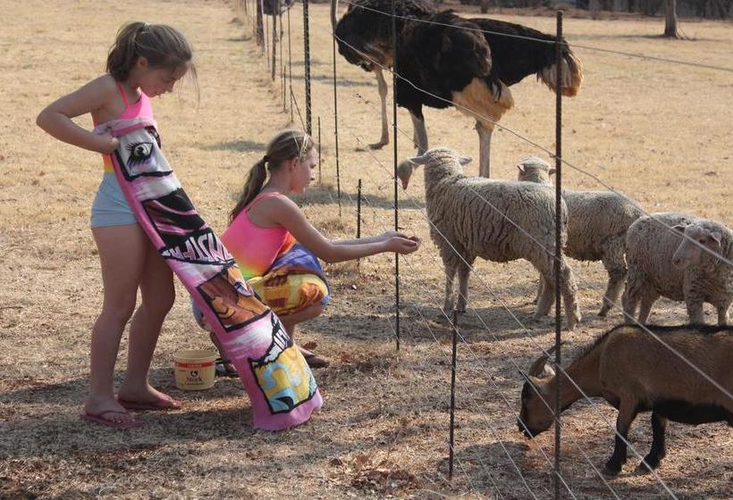 Smilin Thru Resort 16