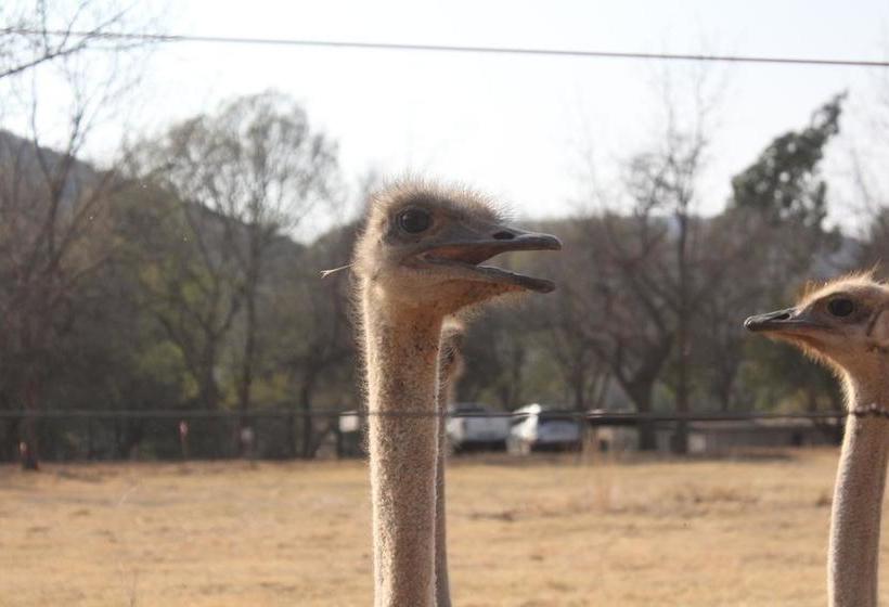 Smilin Thru Resort 18