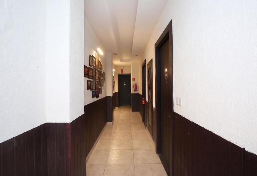 Hotel Oyo 9982 Near Bus Stand 14