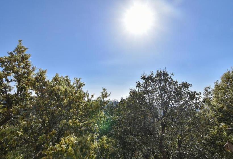 Bed and Breakfast The Keleston Residency 7