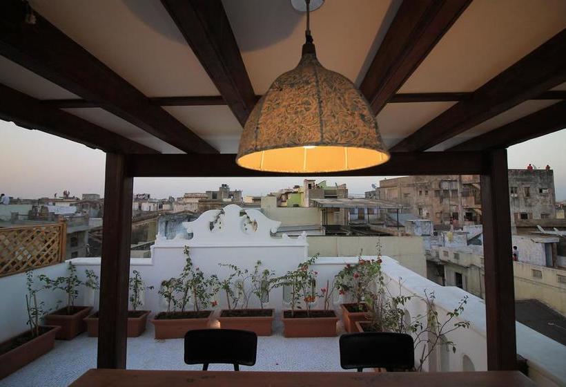 Bed and Breakfast Baghban Haveli 8