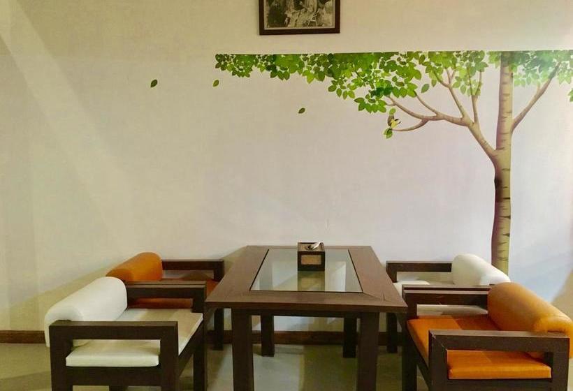 The Corner Transit Hostel 14