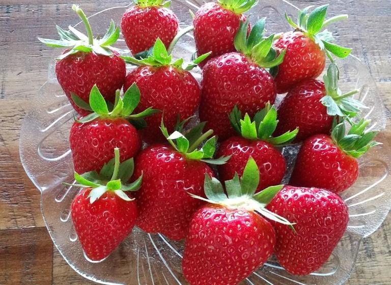 Coromandel Views Bed & Breakfast 17