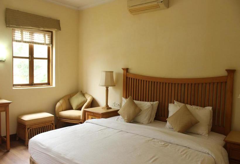 Hotel Oyo 9622 Home 1bhk Colva Poolside Luxury 3