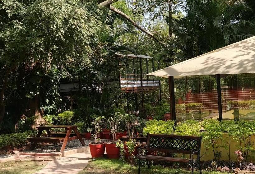 Bed and Breakfast Mushkil Aasan Mount Abu Rajasthán