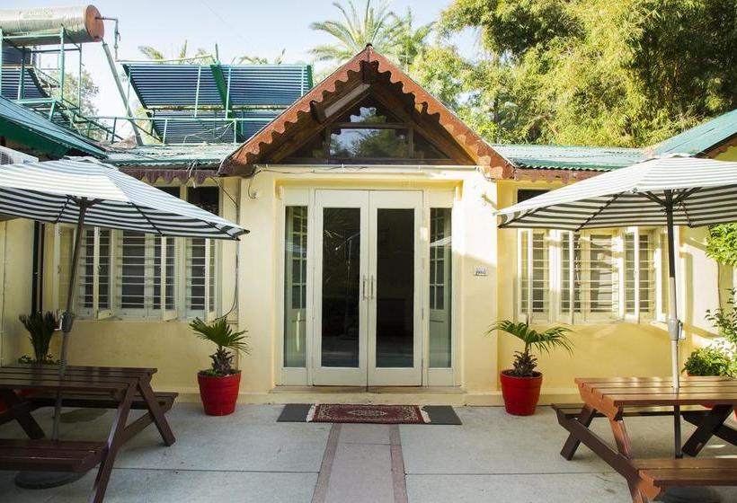 Bed and Breakfast Mushkil Aasan 1