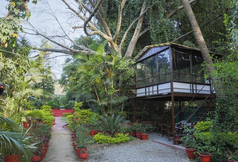 Bed and Breakfast Mushkil Aasan 3