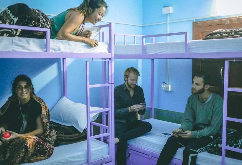 Bed and Breakfast Travellers House Jodhpur Jodhpur