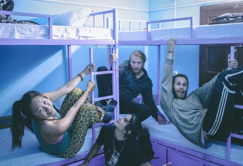 Bed and Breakfast Travellers House Jodhpur 1