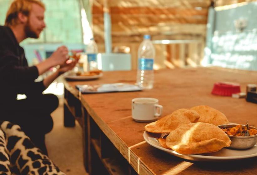 Bed and Breakfast Travellers House Jodhpur 12