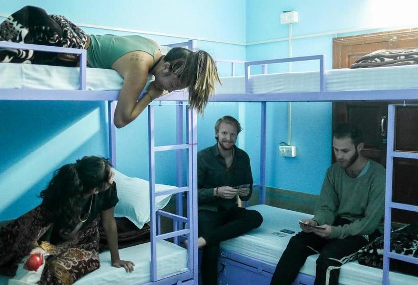 Bed and Breakfast Travellers House Jodhpur 16