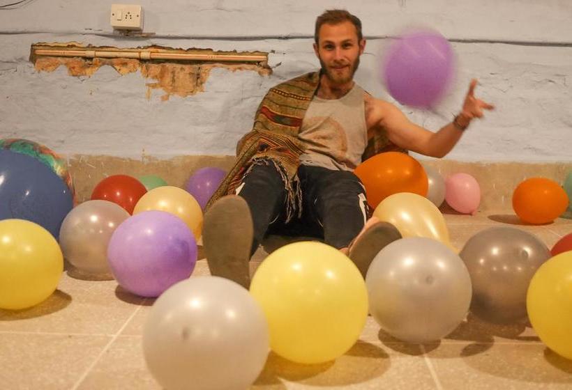 Bed and Breakfast Travellers House Jodhpur 18