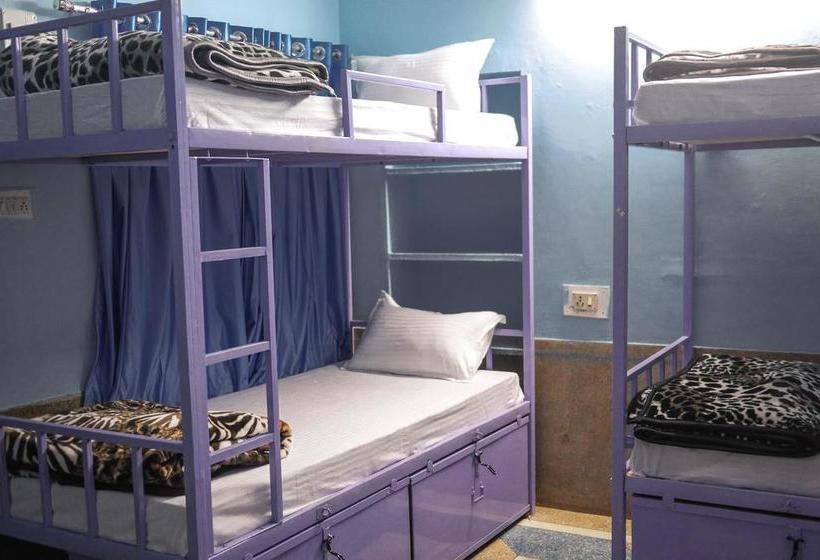 Bed and Breakfast Travellers House Jodhpur 2