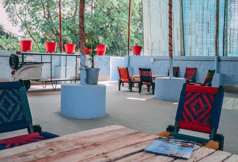 Bed and Breakfast Travellers House Jodhpur 3