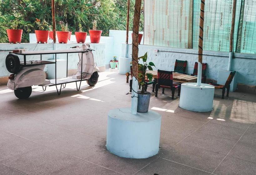 Bed and Breakfast Travellers House Jodhpur 5