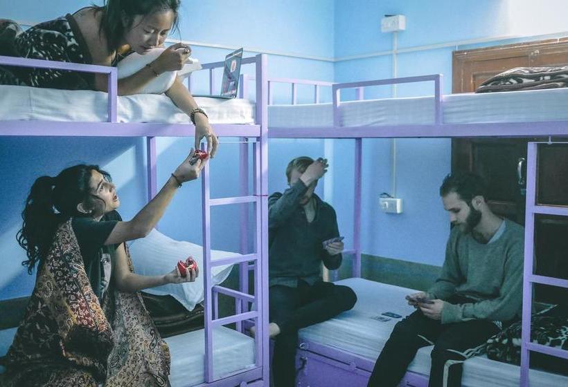 Bed and Breakfast Travellers House Jodhpur 6