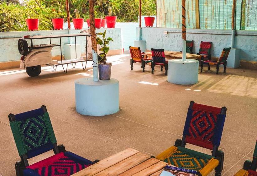 Bed and Breakfast Travellers House Jodhpur 7