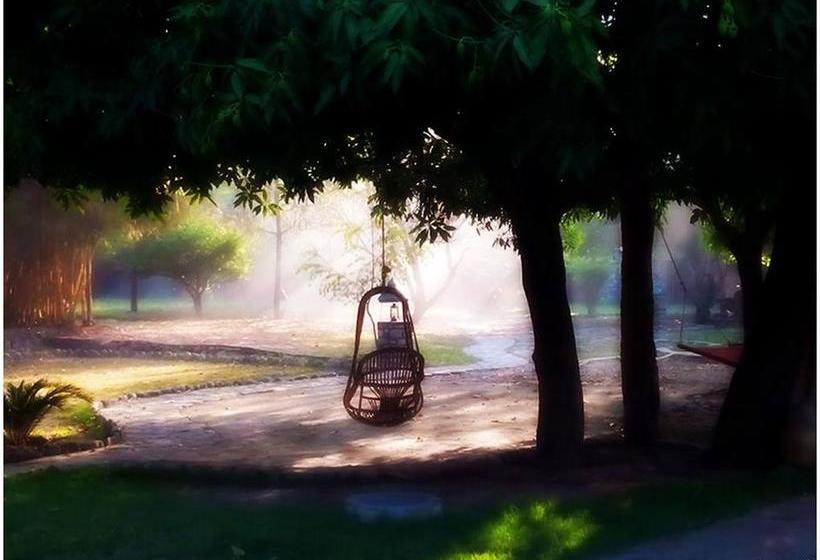 Resort Camp Riverwild 12