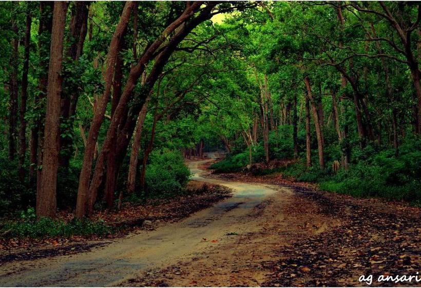 Resort Camp Riverwild 17