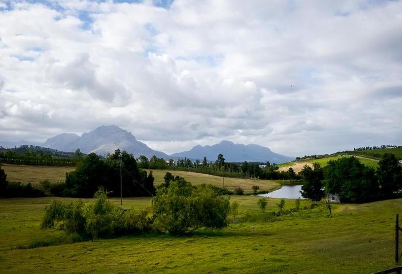 Hotel Zebra Cottage And Lodge Stellenbosch Western Cape