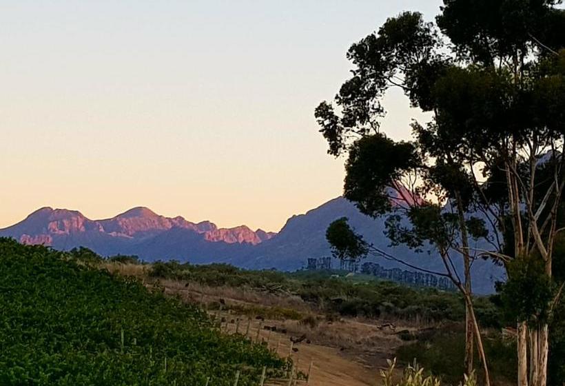 Hotel Zebra Cottage And Lodge 1