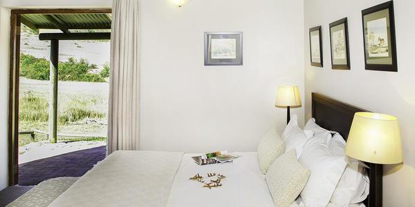 Hotel Zebra Cottage And Lodge 10