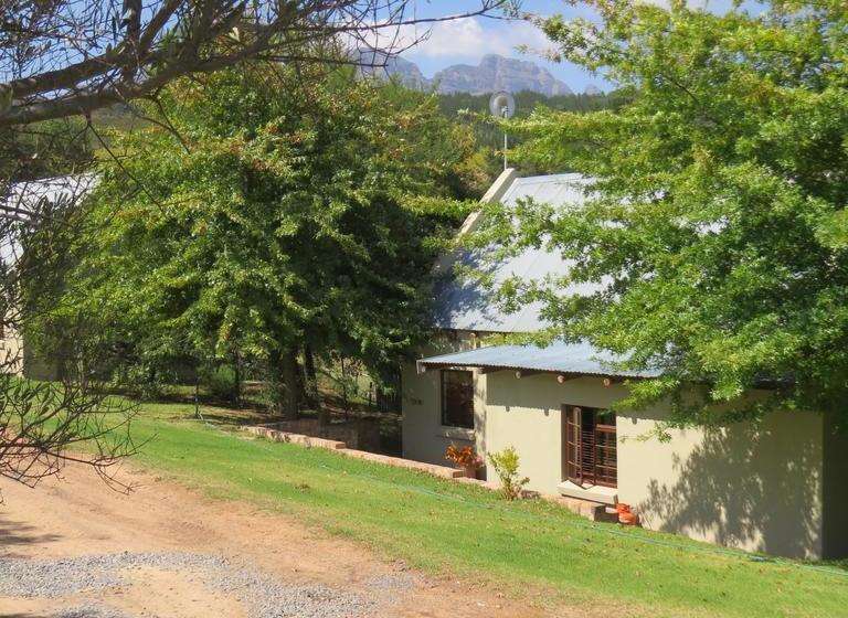 Hotel Zebra Cottage And Lodge 4