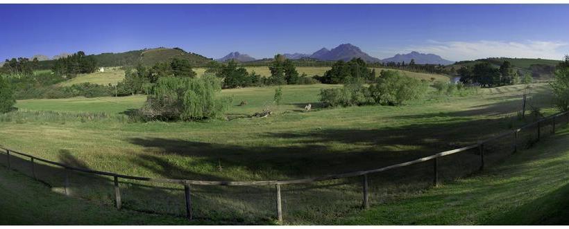 Hotel Zebra Cottage And Lodge 6