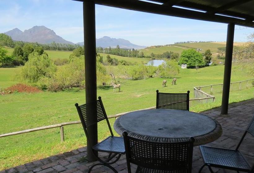 Hotel Zebra Cottage And Lodge 7