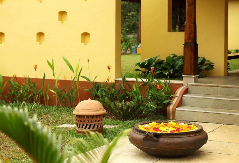 Hotel Ameya Endless Lake View 3