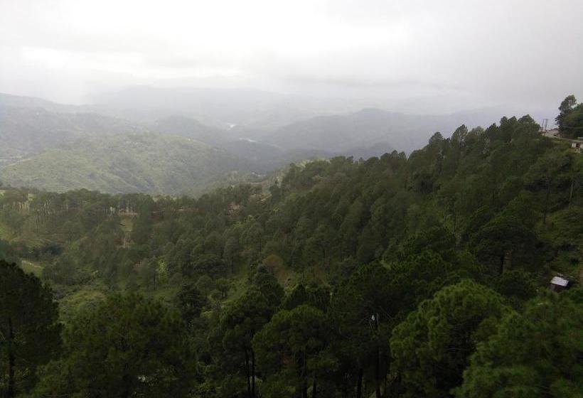 Hotel Ravine Palace 13