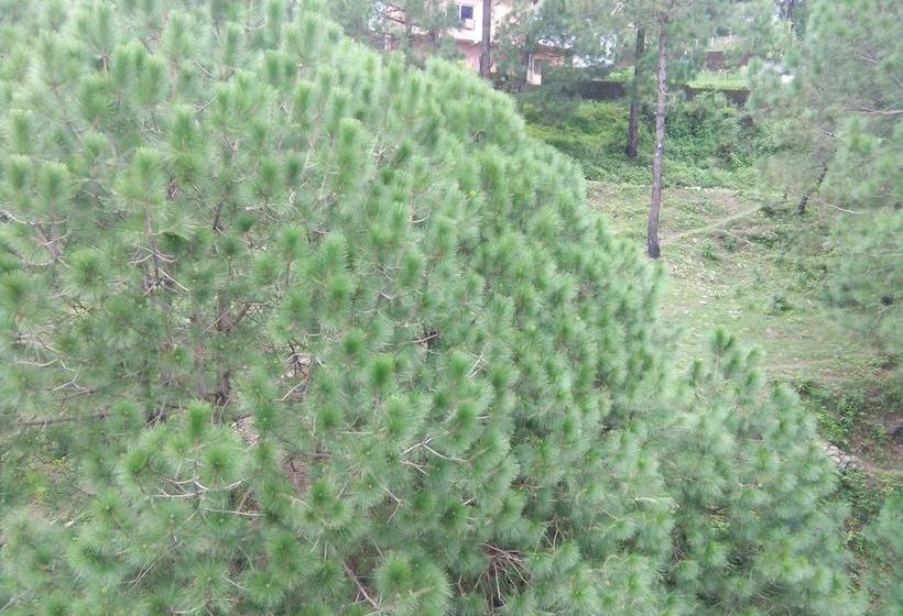 Hotel Ravine Palace 8