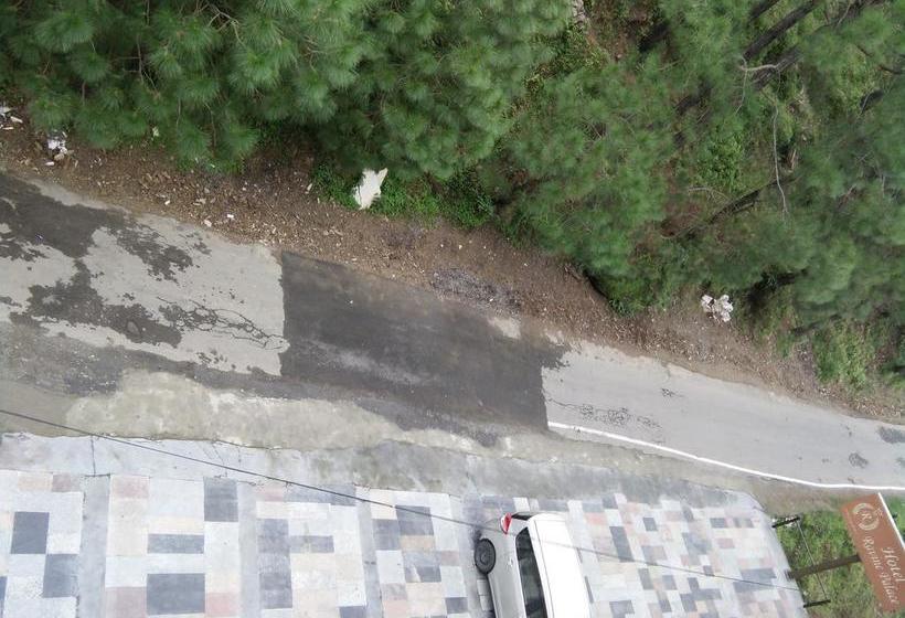 Hotel Ravine Palace 9