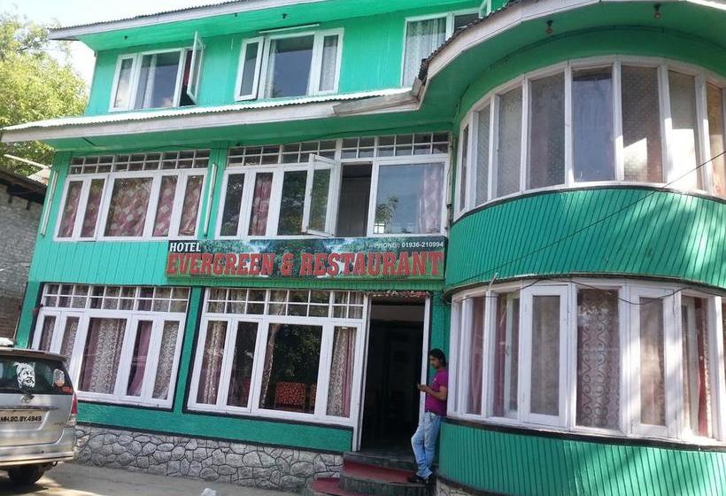 Hotel Evergreen 15
