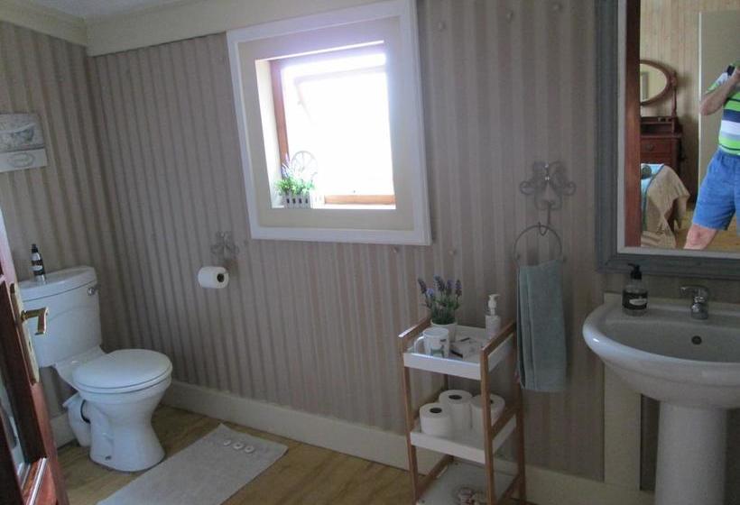 Bed and Breakfast Kattekwaad Accommodation 10