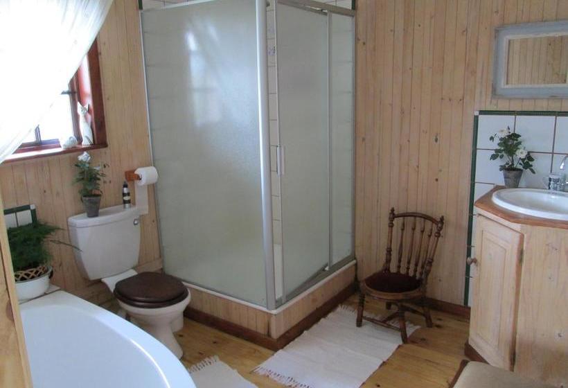 Bed and Breakfast Kattekwaad Accommodation 18