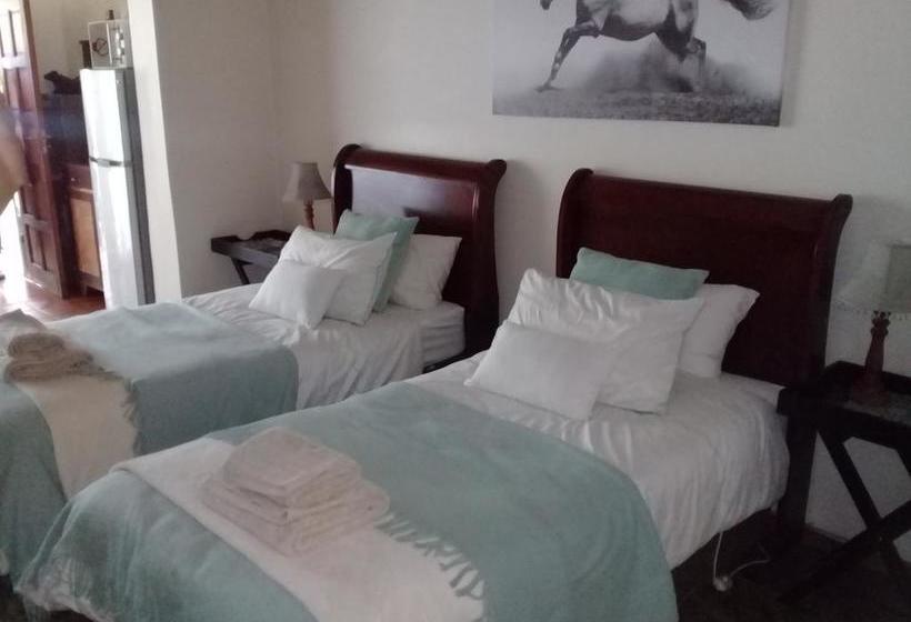 Bed and Breakfast Kattekwaad Accommodation 8