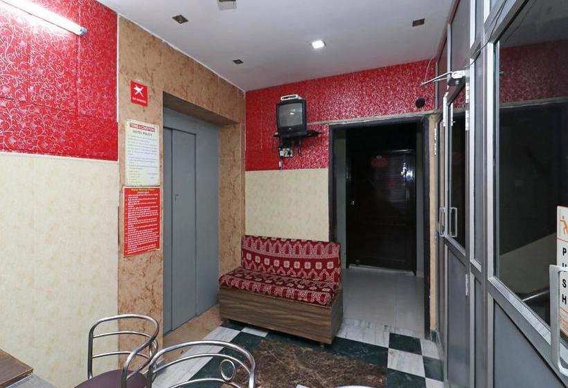 Hotel Oyo 9307 Home Stay Nirmal Palace 11