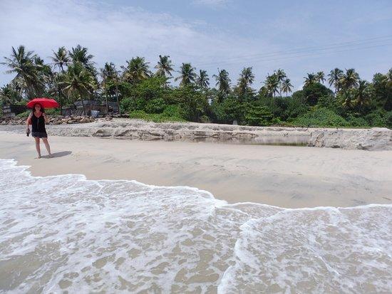 Hostel Alleppey Houseboat Booking Center 6