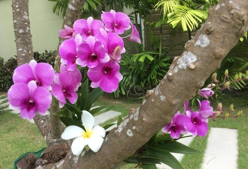 Hotel Greenseaview Resort 19