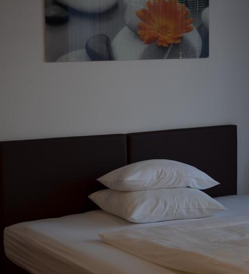 Neu Heidelberg Guesthouse & Apartments 4