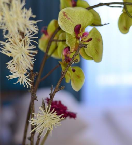 Neu Heidelberg Guesthouse & Apartments 5